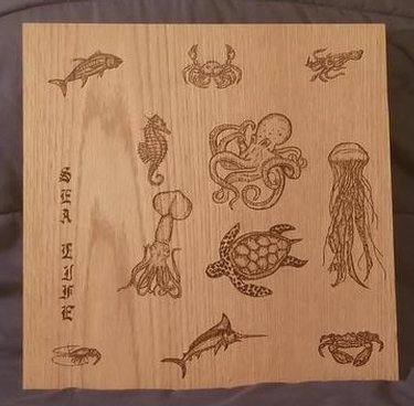 Sea Creatures
